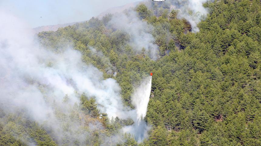 Köyceğiz'de çıkan orman yangınına müdahale sürüyor