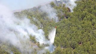 Köyceğiz'de çıkan orman yangınına müdahale sürüyor