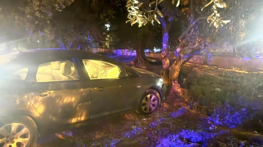 Kontrolden çıkan otomobil zeytin bahçesine girdi: 1 yaralı