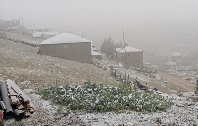 Doğu Karadeniz de şiddetli yağışın ardından kar yağışı başladı 2