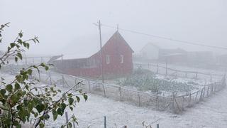 Doğu Karadeniz'de şiddetli yağışın ardından kar yağışı başladı