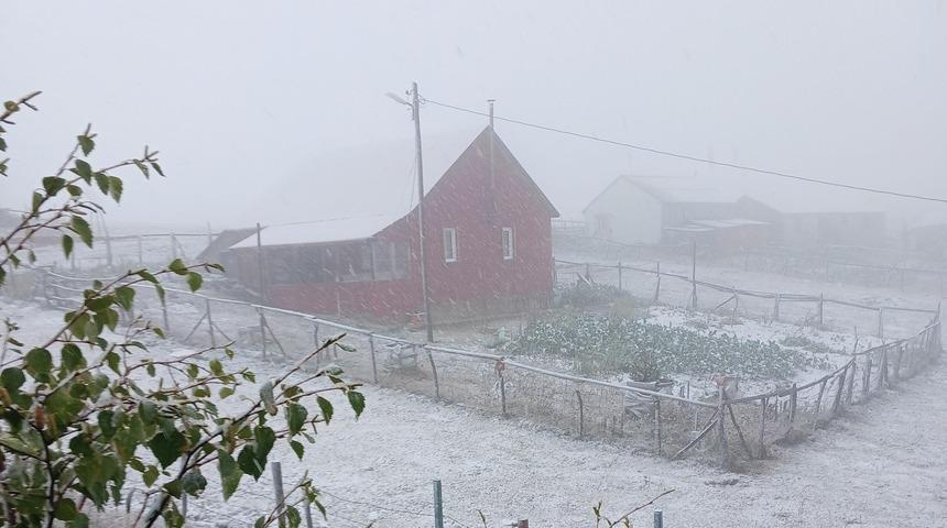 Doğu Karadeniz'de şiddetli yağışın ardından kar yağışı başladı