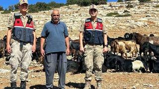 Kilis’te kaybolan 100 küçükbaş hayvan bulundu