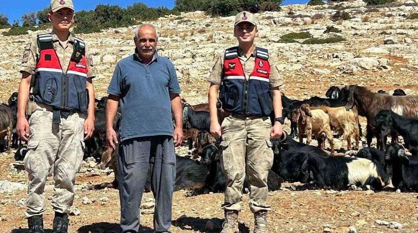 Kilis’te kaybolan 100 küçükbaş hayvan bulundu