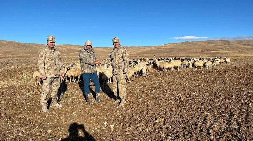 Erzincan’da kaybolan 300 koyun İHA desteği ile bulundu
