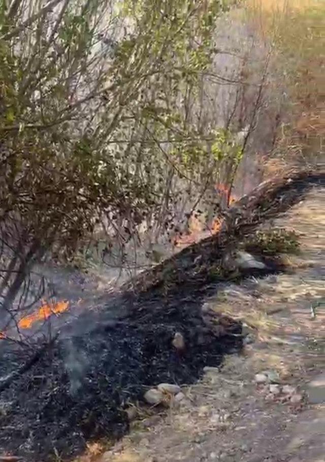 Kömür beldesinde korkutan yangın 1