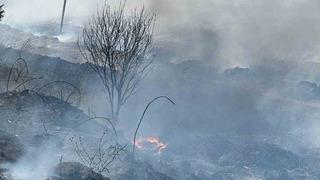 Manyas Kuş Cenneti yakınında yangın paniği