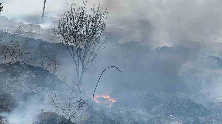 Manyas Kuş Cenneti yakınında yangın paniği