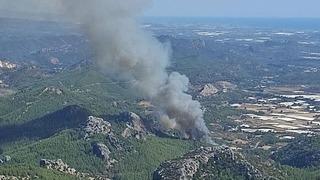 Antalya Serik'te orman yangınına müdahale