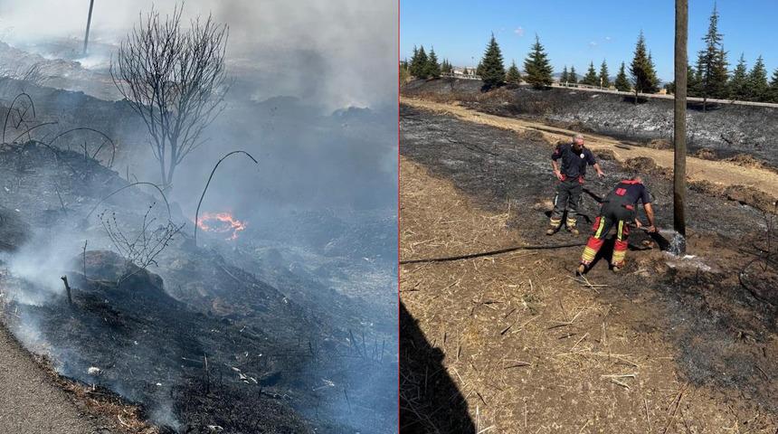 Manyas Kuş Cenneti yakınında yangın paniği! Ekipler müdahale etti