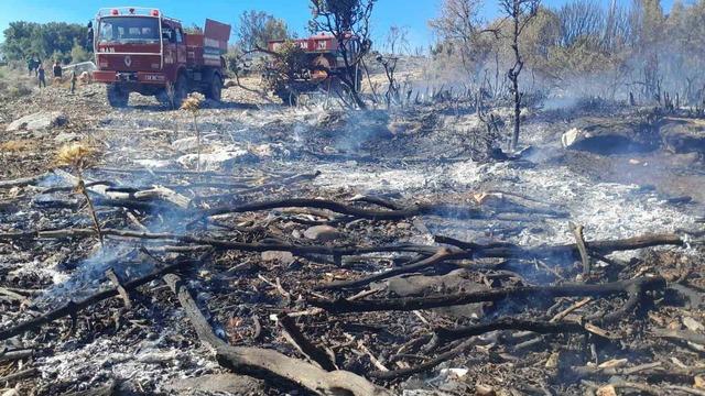 Menteşe’de çıkan yangın kontrol altına alındı 6