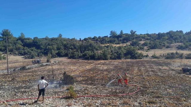 Menteşe’de çıkan yangın kontrol altına alındı 4