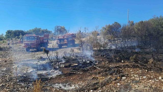 Menteşe’de çıkan yangın kontrol altına alındı 3
