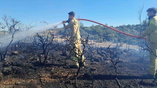 Menteşe’de çıkan yangın kontrol altına alındı 1
