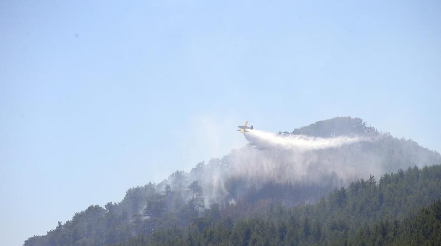 Muğla ve Antalya'daki orman yangınları kontrol altına alındı