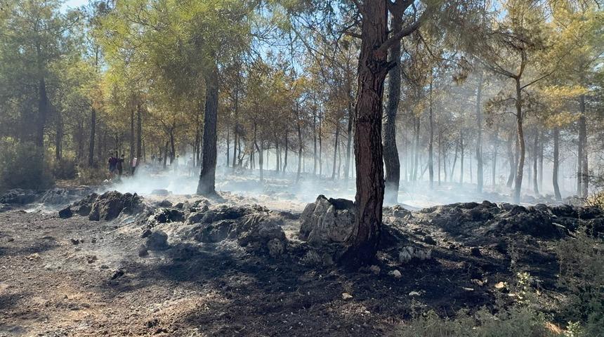 Antalya'da ormanlık alanda çıkan yangın söndürüldü