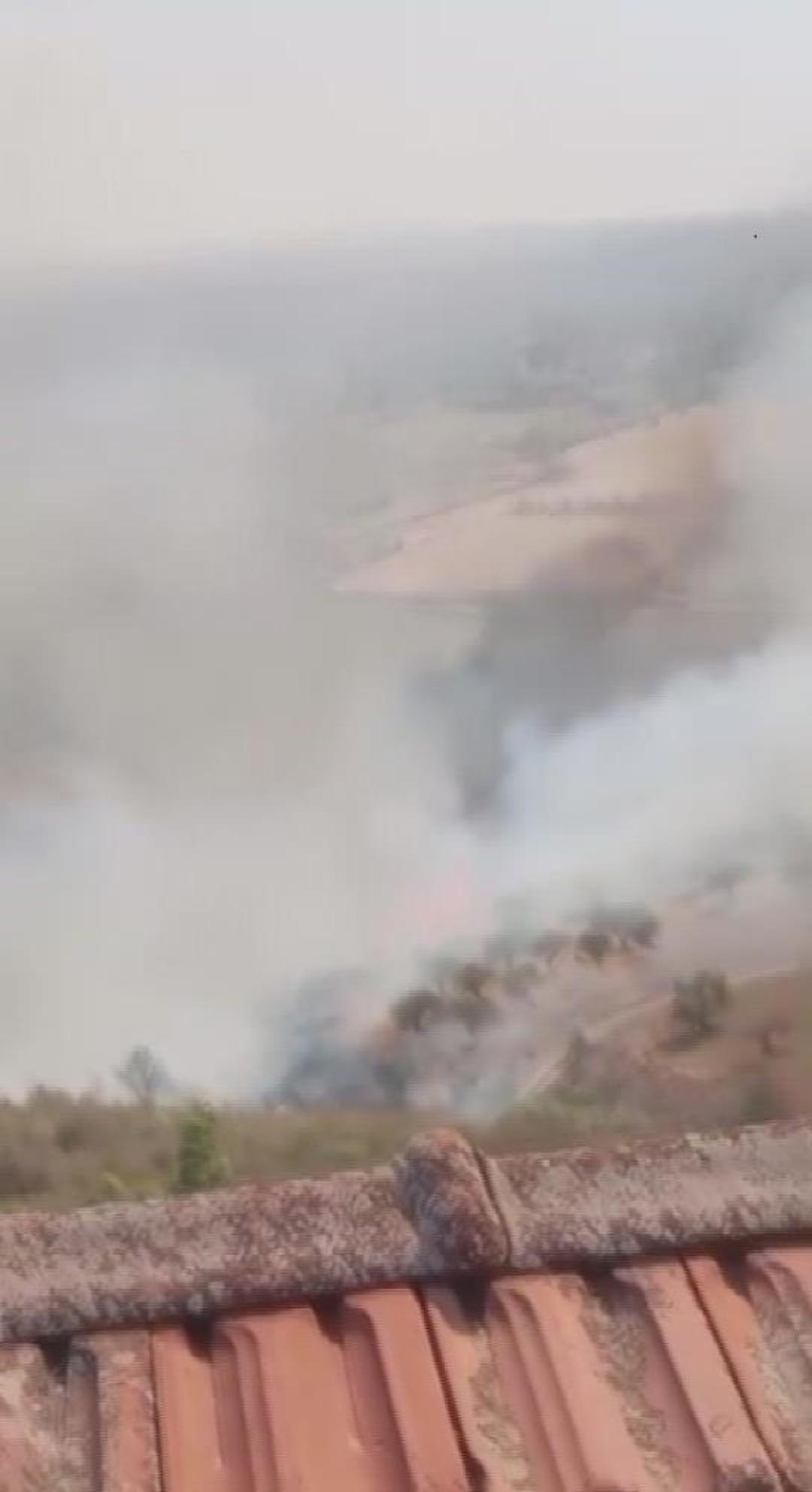 Hatay da zeytinlik alanda çıkan yangın büyümeden söndürüldü 1