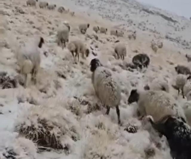 Başkel de mevsimin ilk karı düştü 1