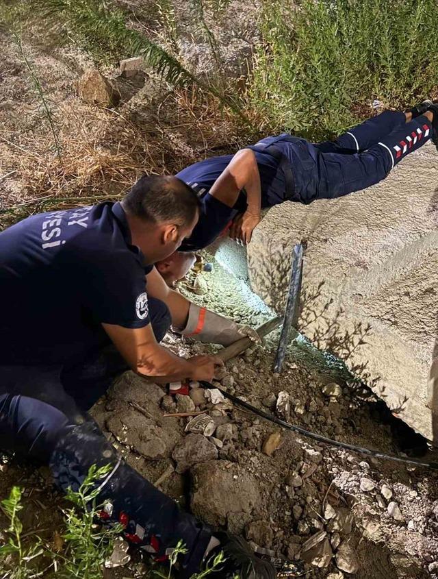 Hatay da beton boruda sıkışan kedi kurtarıldı 2