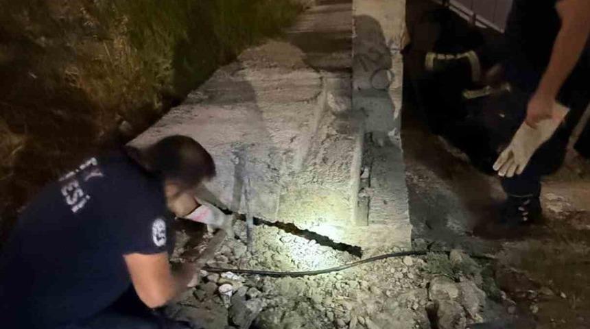 Hatay'da beton boruda sıkışan kedi kurtarıldı