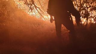 Diyarbakır Silvan'da orman yangını kontrol altına alındı