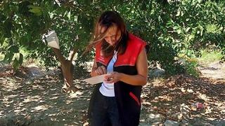 Akdeniz Meyve Sineği uyarısı