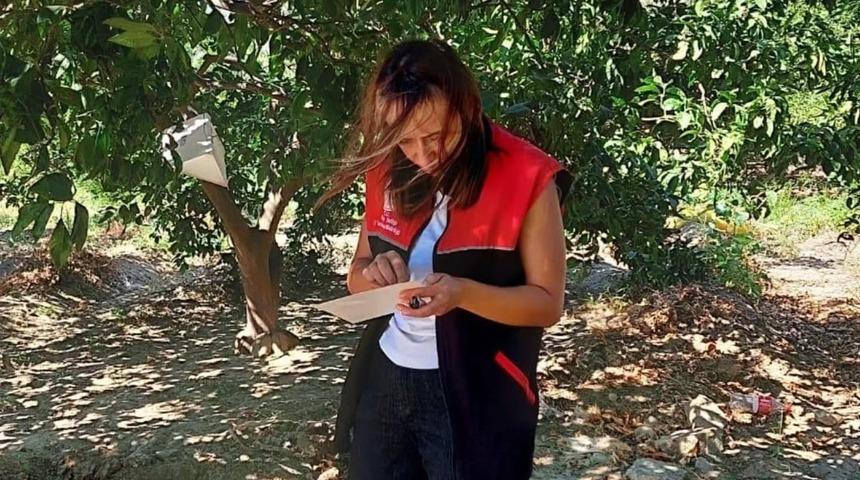 Akdeniz Meyve Sineği uyarısı