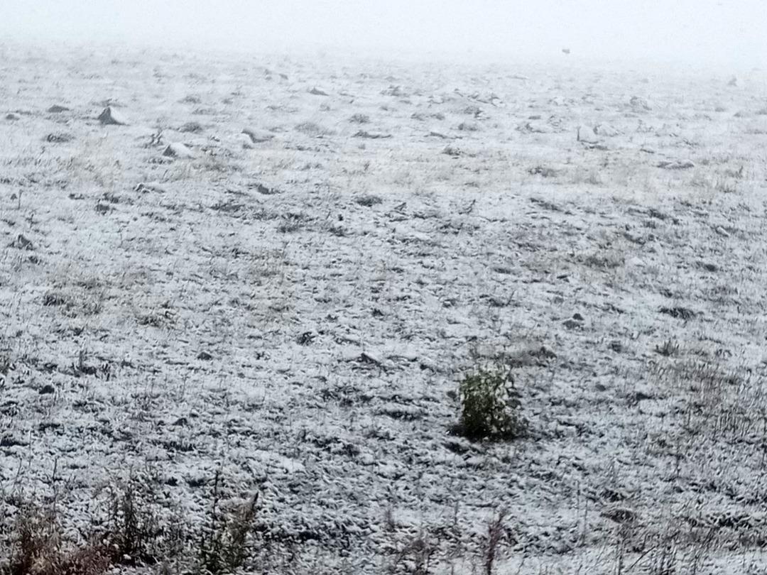 Mevsimin ilk karı oraya düştü! Kar kalınlığı 30 santimetreyi buldu: Muhteşem manzaralar ortaya çıktı 1