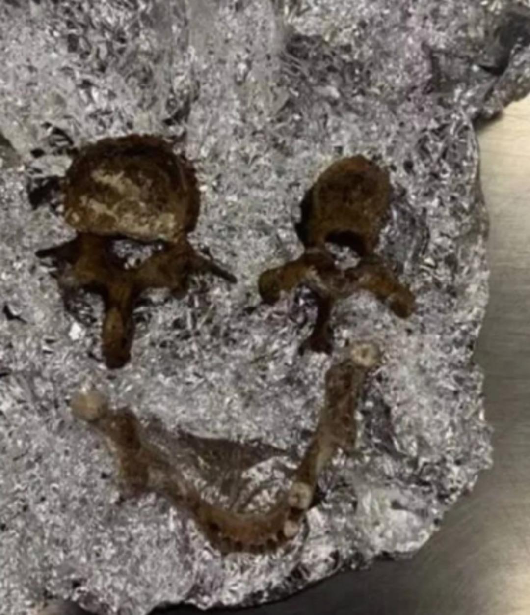 Ritüel yapacakmış: Valizinden insan kemikleri ve kafa tası çıktı! Havalimanında kan donduran görüntü 1