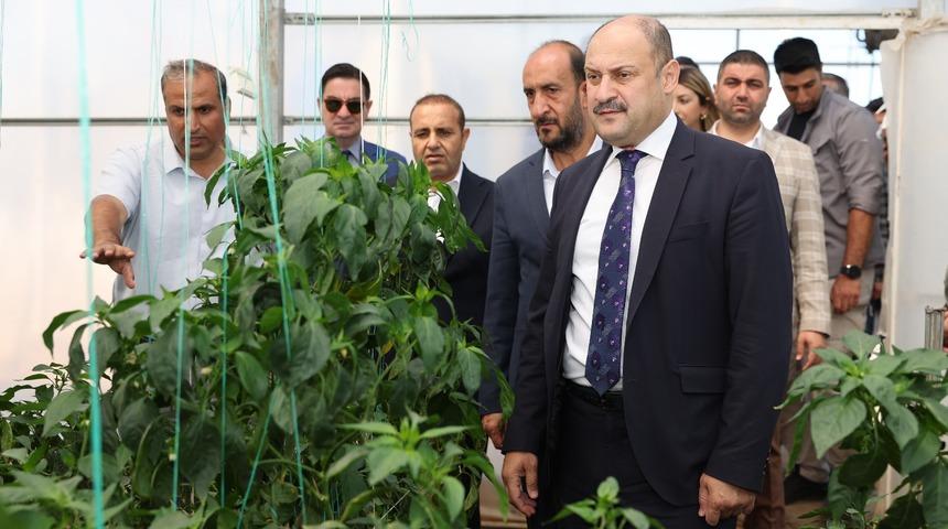 Şanlıurfa Büyükşehir Belediyesi’nden toprak işlemesiz tarım uygulamalarıyla çiftçiye örnek