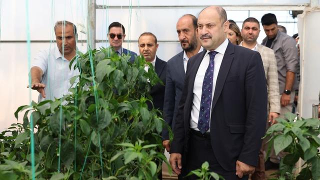 Şanlıurfa Büyükşehir Belediyesi’nden toprak işlemesiz tarım uygulamalarıyla çiftçiye örnek