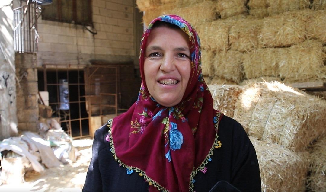 2 inekle başladı, sıfır kilometre araç sahibi oldu! Hayallerine kavuştu: "Hayvan desteğiyle hayatımız değişti" 4