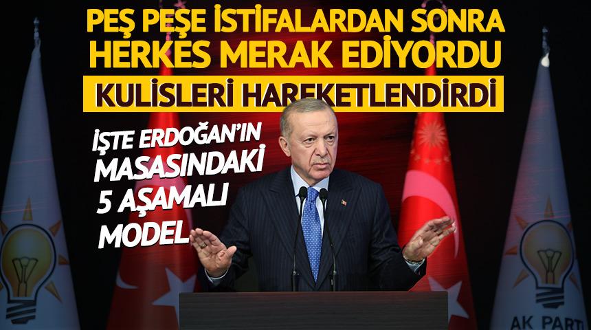 İşte Erdoğan'ın masasındaki 5 aşamalı model