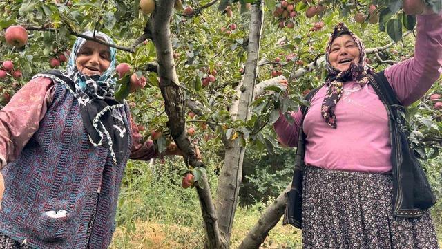 Yalova’da Dereköy elması üreticisinin yüzünü güldürdü