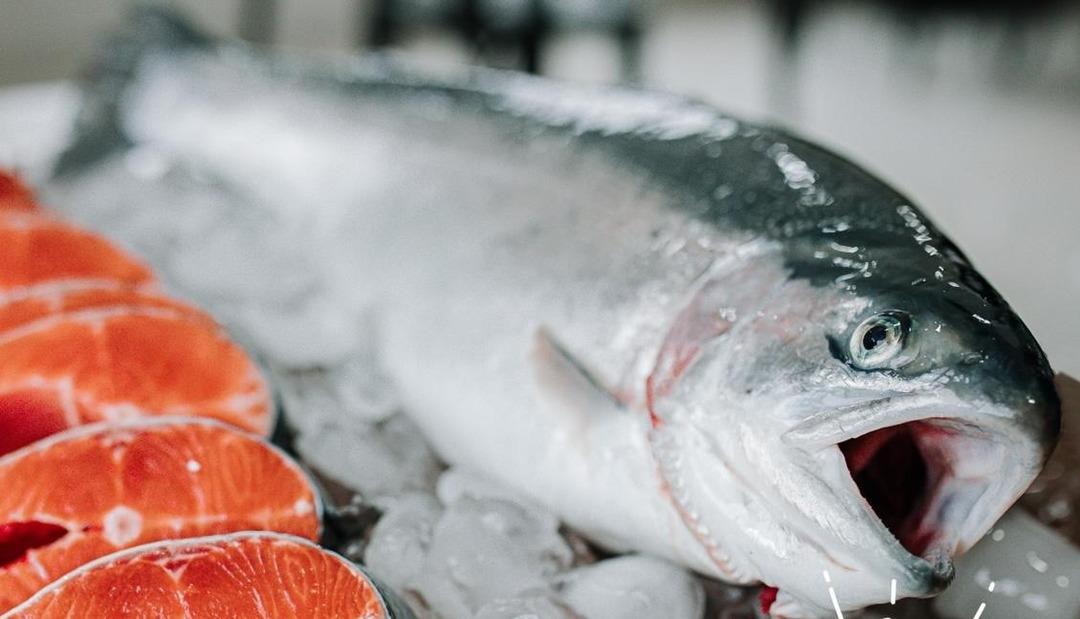 Tatlı sudan tuzlu sulara! Türk somonu AB’de zirvede: "497 milyon dolar ihracata ulaştık" 2