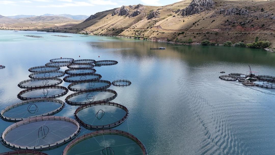 Tatlı sudan tuzlu sulara! Türk somonu AB’de zirvede: "497 milyon dolar ihracata ulaştık" 3