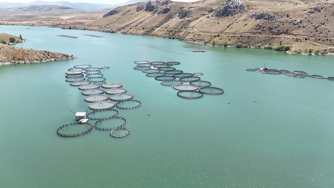 Tatlı sudan tuzlu sulara! Türk somonu AB’de zirvede: "497 milyon dolar ihracata ulaştık" 4