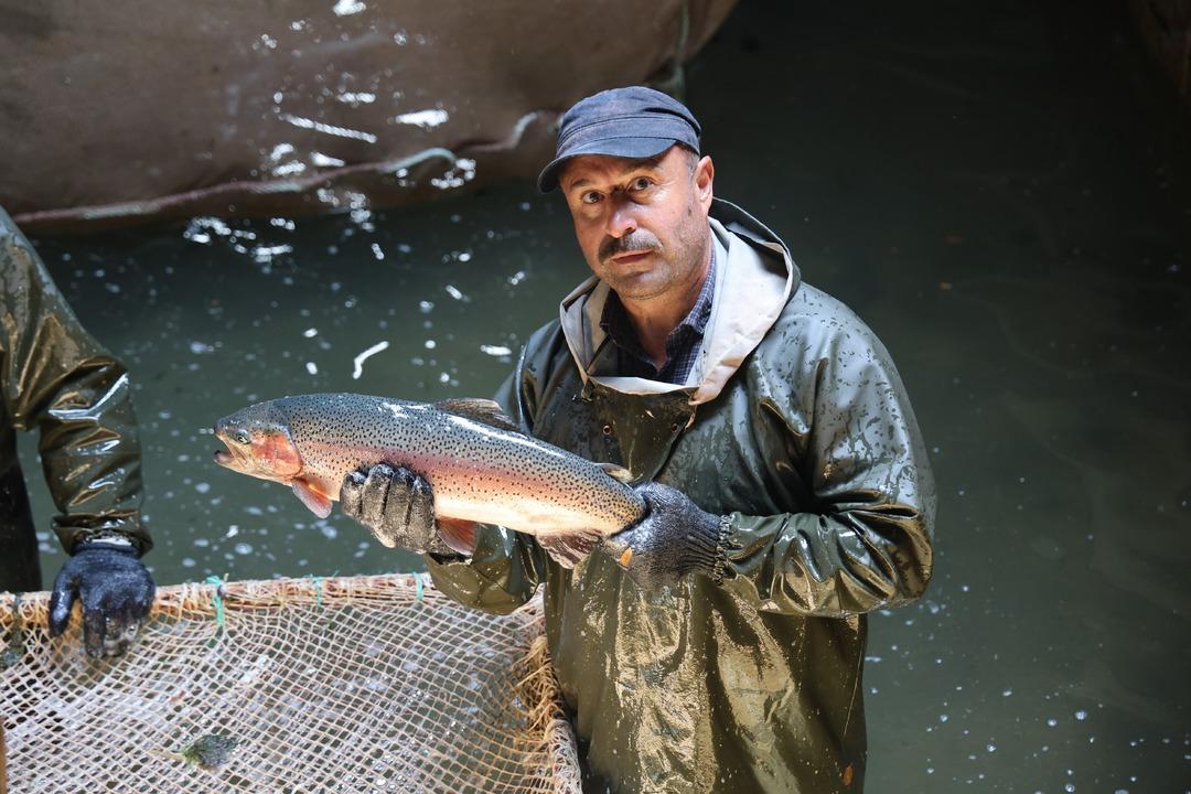 Tatlı sudan tuzlu sulara! Türk somonu AB’de zirvede: "497 milyon dolar ihracata ulaştık" 5