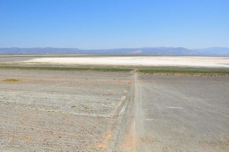 Geriye sadece 54 tane kaldı! 'Tehdit altında' diyerek yaşam hazinesini işaret etti...  G3