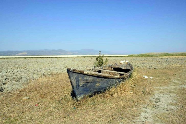 Geriye sadece 54 tane kaldı! 'Tehdit altında' diyerek yaşam hazinesini işaret etti...  G1