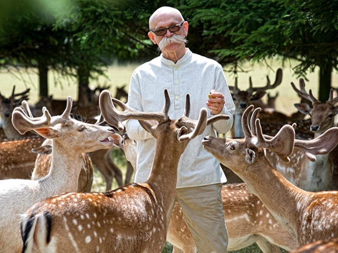 İş insanından ilginç kampanya! Otellerinde hamile kalana para ödülü 1