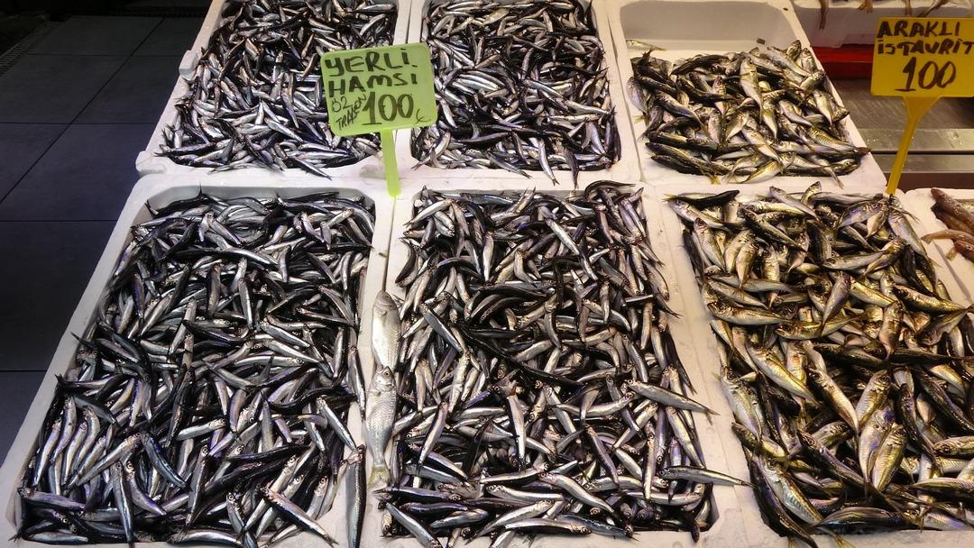 Karadeniz’de hamsi bereketi yüzleri güldürdü: "Hamsi gün geçtikçe irileşmeye başladı" 2