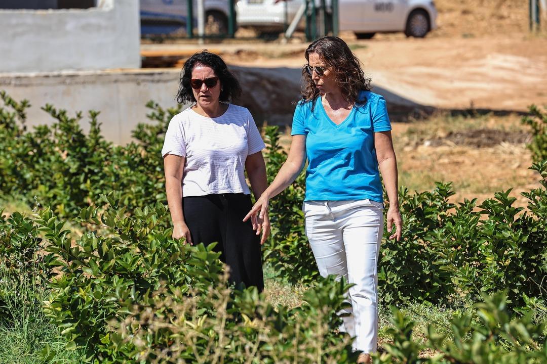 Antalya’da aronya ve böğürtlen hasadı bereketi yüzleri güldürdü... 1