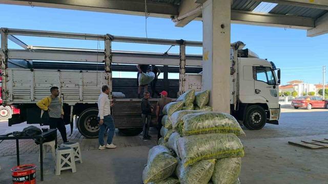 Fasulye pazarında yüzler güldü