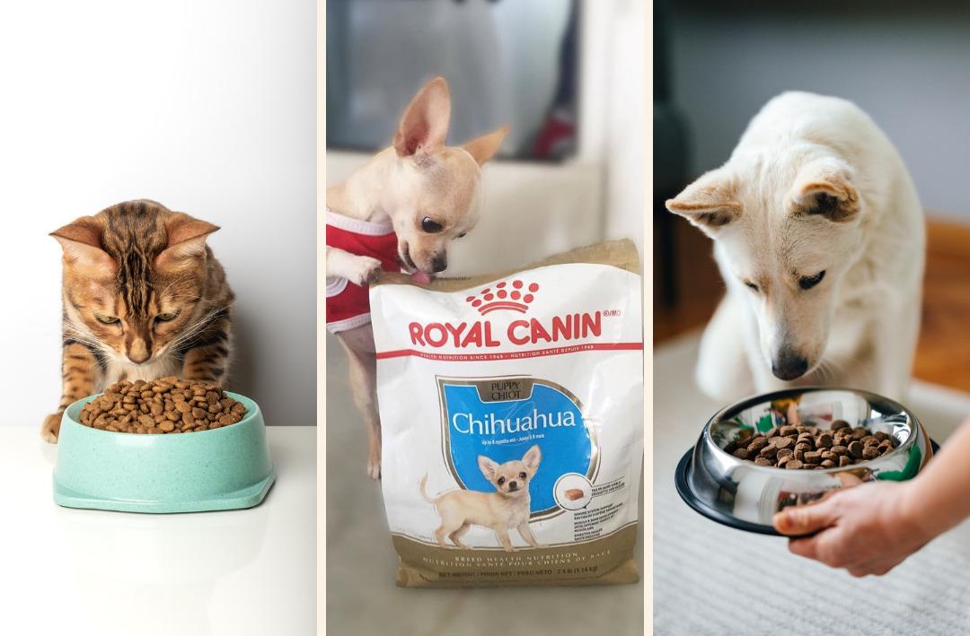 Petzzshop ta Sevgi Dolu İndirimler kampanyası başladı 1