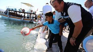 Milas Boğaziçi’ne 150 bin çipura ve 10 bin levrek yavrusu bırakıldı
