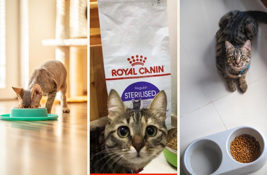 Petzzshop ta Sevgi Dolu İndirimler kampanyası başladı 3