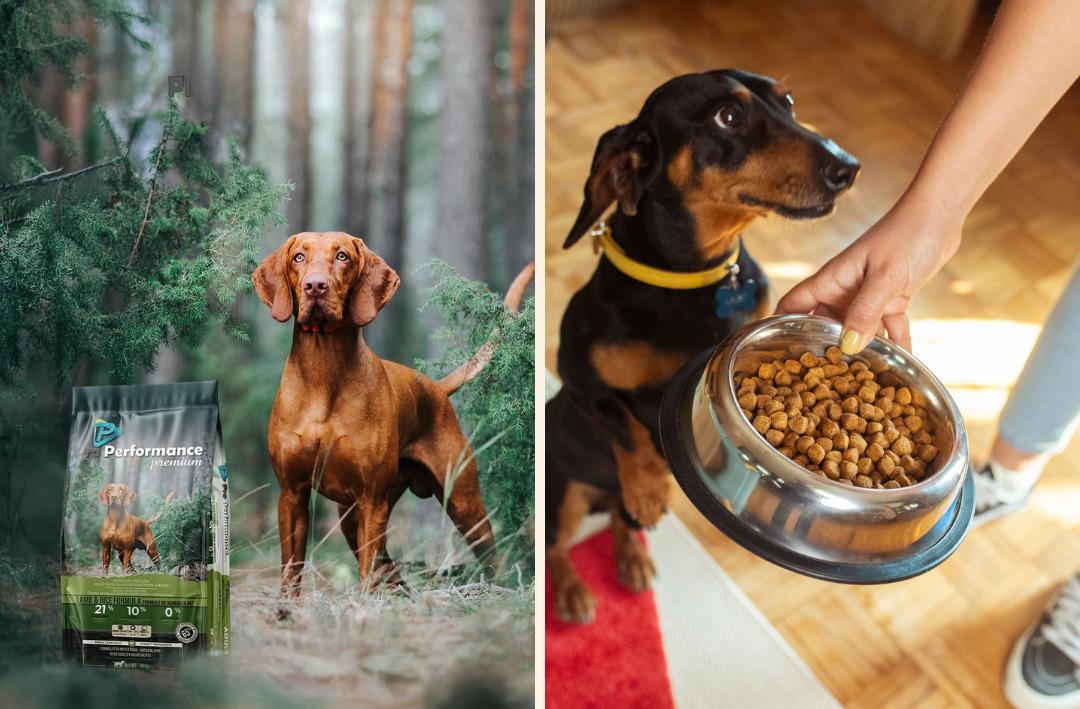 Petzzshop ta Sevgi Dolu İndirimler kampanyası başladı 5