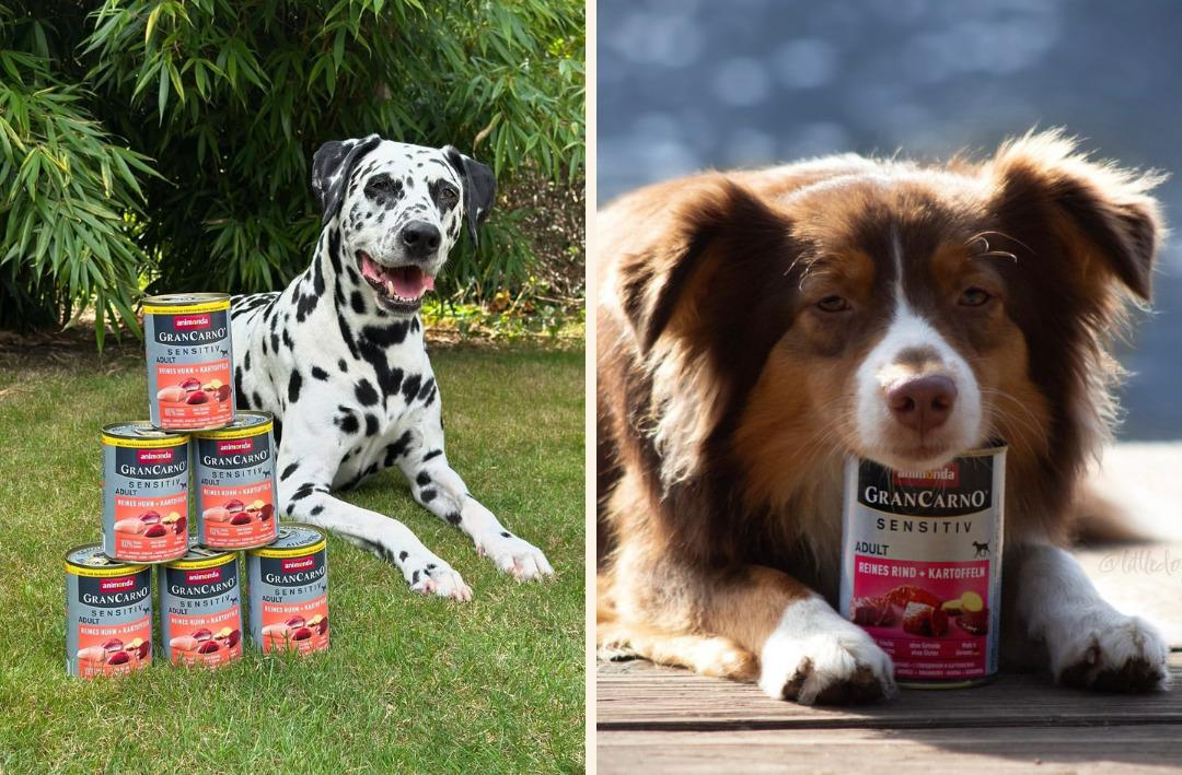 Petzzshop ta Sevgi Dolu İndirimler kampanyası başladı 8