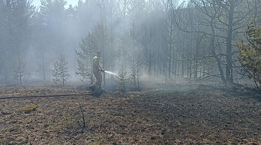 Kastamonu'da orman yangınında 10 dönüm alan zarar gördü